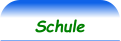 Schule