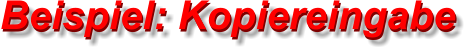 Beispiel: Kopiereingabe Beispiel: Kopiereingabe