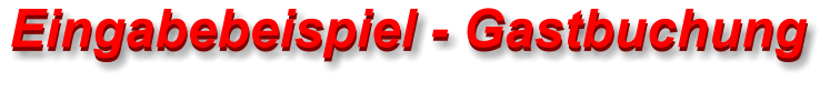Eingabebeispiel - Gastbuchung Eingabebeispiel - Gastbuchung