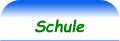 Schule