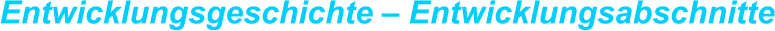 Entwicklungsgeschichte – Entwicklungsabschnitte